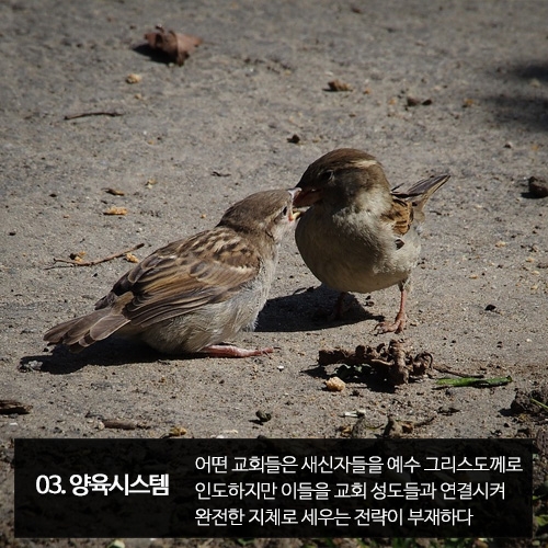 교회 성장 가로막는 6가지