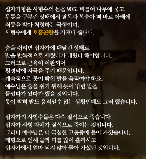 카드뉴스 CARD 의학적으로 본 예수님의 십자가 고통