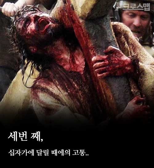 카드뉴스 CARD 의학적으로 본 예수님의 십자가 고통