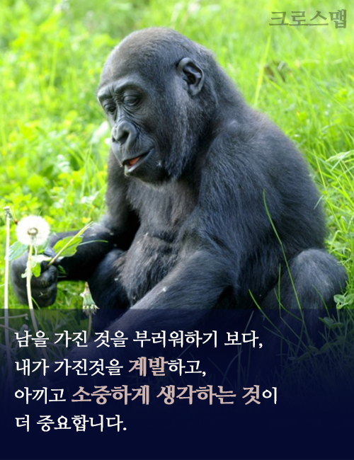 세상에 쓸모 없는 사람은 없습니다