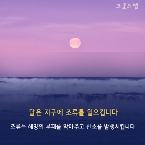 지구의 신비 창조론 