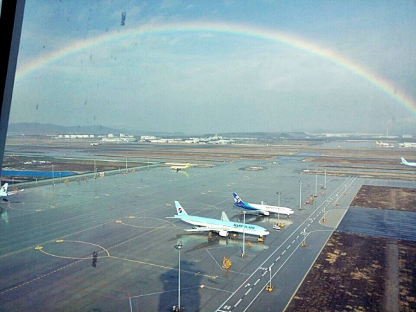 소두증, 항공기, 여행사, 공항, 인천국제공항