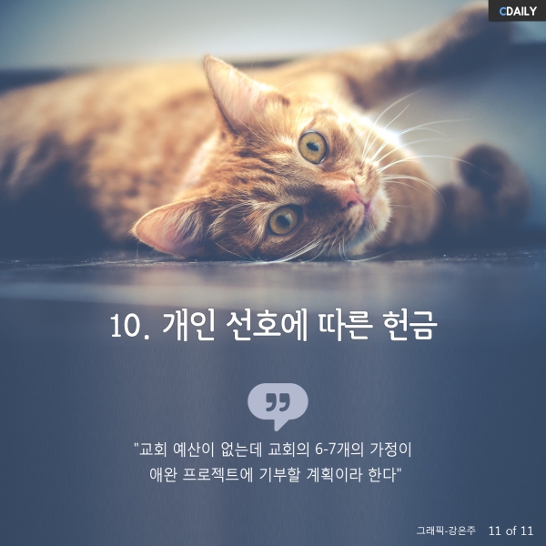 톰 레이너 박사 