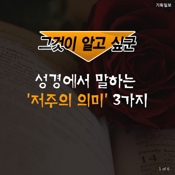 [CARD] 성경에서 말하는 '저주의 의미' 3가지