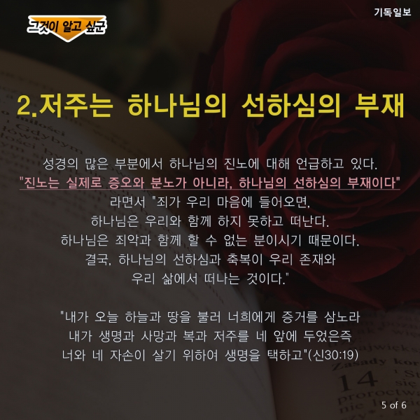 [CARD] 성경에서 말하는 '저주의 의미' 3가지