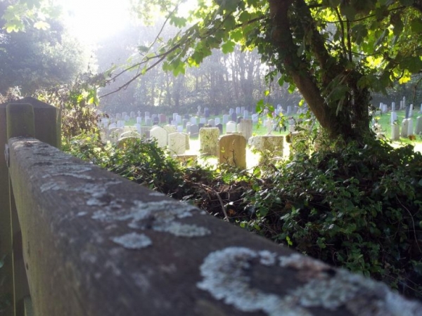 묘지 공원 들판 묘비 죽음 