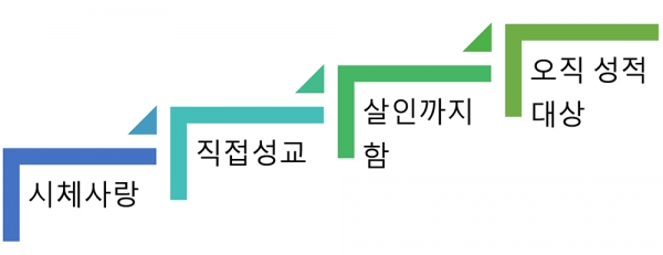 ▲성중독과 성도착증의 유형