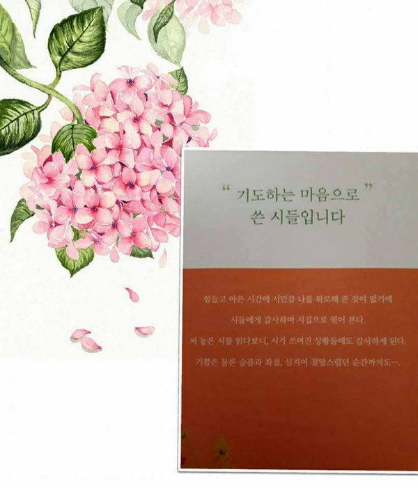 김연수 시인의 시집 「괜찮아  다 사느라고 그랬는걸」