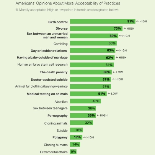 19가지 도덕적 이슈는 동성애, 결혼 전 출산, 결혼 전 성관계, 이혼, 일부다처제, 피임 등이다. 피임에 대해 미국인들은 91%가 도덕적으로 용납된다고 답했고 이혼은 73%, 결혼 전 성관계는 69%, 동성애 65%, 결혼 전 출산 62%, 줄기세포 연구 62%가 도덕적으로 괜찮다고 답했다.