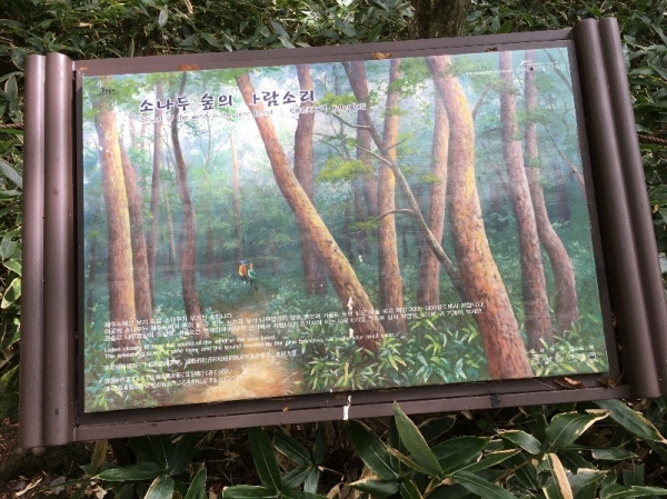 소나무 간판 사진
