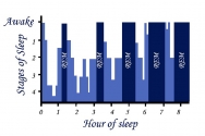 렘수면 그래프. 잠들고 나서 3시간 정도 사이에 비렘수면인 깊은 잠에 빠져든다. 거의 90분 간격으로 렘수면과 비렘수면이 교대로 4~5회 반복된다. 아침이 가까워지면 비렘수면도 얕아지고 렘수면은 40~60분 간격으로 빈번해져서 깨어나기 쉬워진다.
