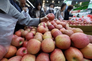 24일 서울 시내 한 대형마트에서 시민들이 사과를 구입하고 있다. ⓒ뉴시스