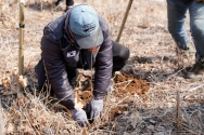 굿피플은 식목일을 앞두고 산불 피해지역인 강릉시 옥계면 일대에 아까시나무 830그루를 식재했다