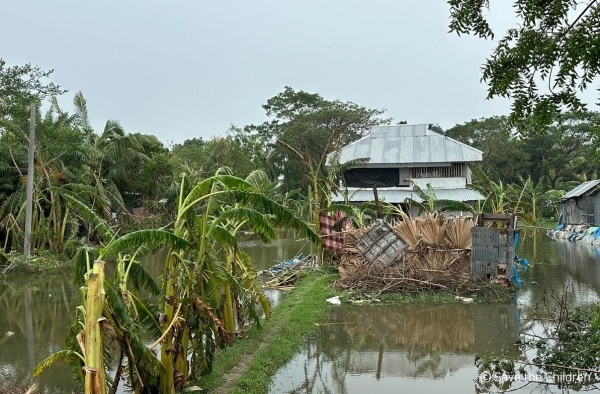 사이클론 레말로 농경지와 가옥이 물에 잠긴 방글라데시 파투아칼리 지역