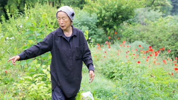 제21회 서울국제사랑영화제 