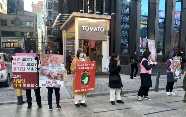 러브라이프 ‘태아생명존중 성탄 퍼레이드’