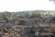 한라산 산불