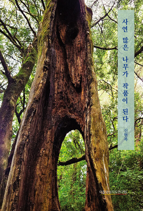 사연 많은 나무가 작품이 된다