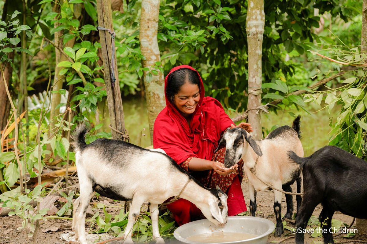 세이브더칠드런의 가축 사육 지원을 통해 조혼 위기를 극복한 방글라데시 아동이 염소를 돌보고 있다