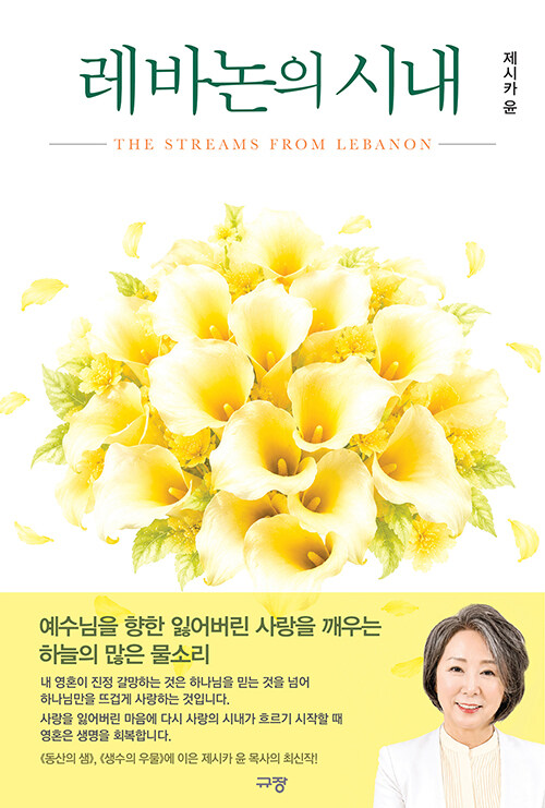 레바논의 시내