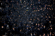 미국 유태인 초정통파, 이스라엘 징집법 반대 시위