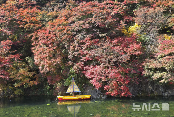단풍철 주말 고속도로 598만대 몰려 혼잡