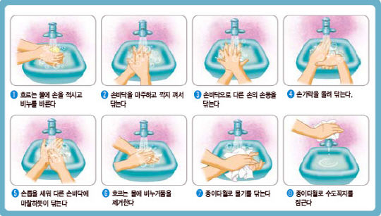 11월부터 겨울 수두 유행…올해 서울 환자 절반은 10대