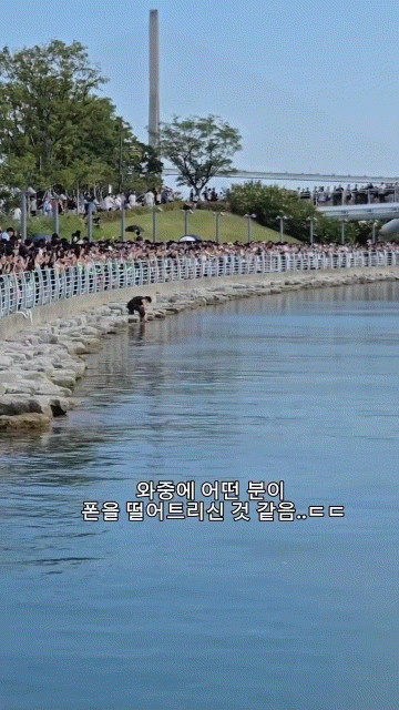 휴대전화 찾으려 상어 출몰 수로에 뛰어든 남성