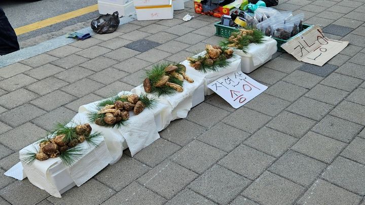 대구·경북 원산지 속인 농식품 유통업소 30곳 덜미