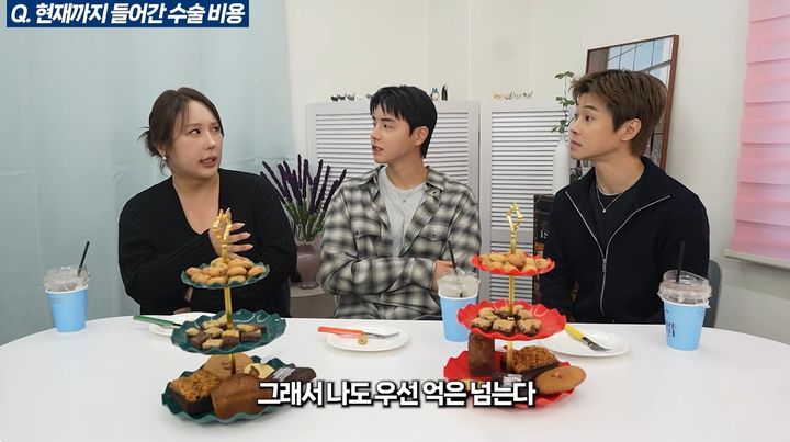 방송인 풍자, 성형수술에 최소 1억5000만원 들어