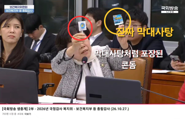 대구퀴어반대대책본부 조배숙 의원