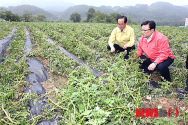 우박피해현장 찾은 이동필 농림축산부 장관