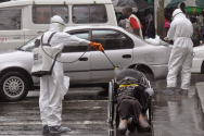 라이베리아에 만연한 에볼라 바이러스