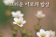 소소한 일상의 여백, 아름답게 고백한 기일혜 수필집 30집