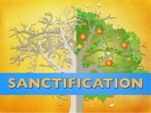 성화 Sanctification