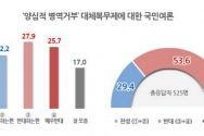 양심적 병역거부 대체복무제에 대한 국민여론