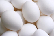 미국산 흰색 계란 달걀 흰 달걀