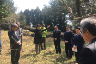 무장대 무덤에서 식수식을 마치며 인금란 교회협 여성위원회 위원장이 축도를 하고 있다.