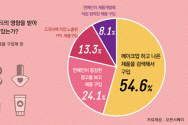 화장품 구매에 연예인이 미치는 영향