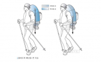 네이버 지식백과, 등산 관련 전문 정보 제공