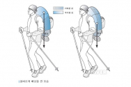 네이버 지식백과, 등산 관련 전문 정보 제공