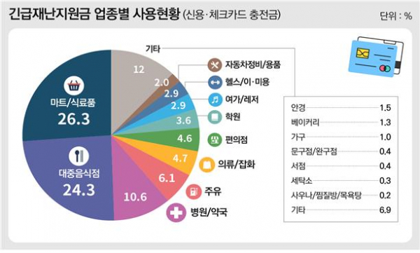 긴급재난지원금 업종별 사용현황(신용·체크카드 충전금)