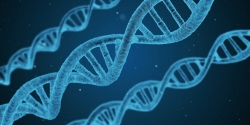 유전자 DNA