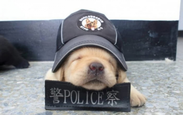 TAIWAN NATIONAL POLICE AGENCY