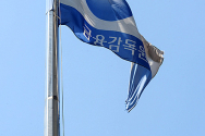 금감원