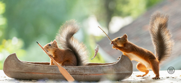 boredpanda/Geert Weggen