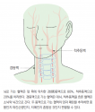 머리앤코글로벌한의원