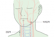 머리앤코글로벌한의원