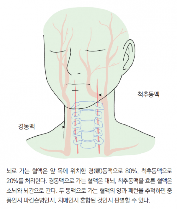 머리앤코글로벌한의원