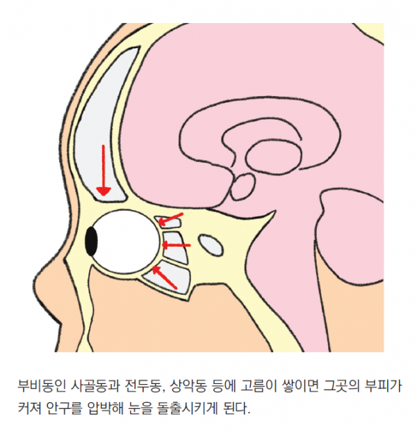 머리앤코글로벌한의원